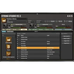 AAS String Studio VS-3
