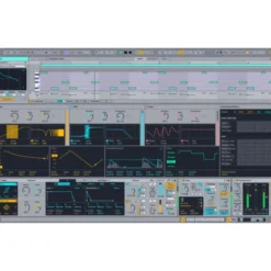 Ableton Live 12 Suite UPG Lite