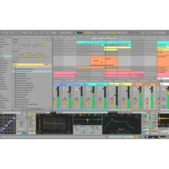 Ableton Live 12 Suite UPG Standard 12