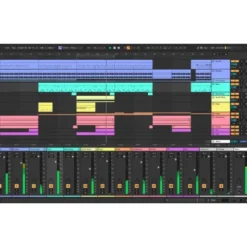 Ableton Live 12 Suite UPG Standard 12