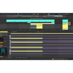 Ableton Live 12 Suite UPG Std 1-11