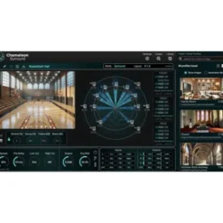 Accentize Chameleon Surround