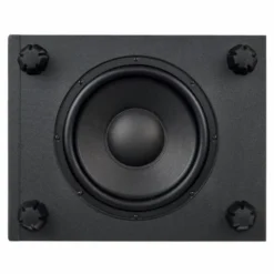 ADAM Audio T10S