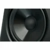 ADAM Audio T7V