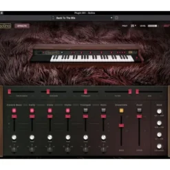 AIR Music Technology Solina