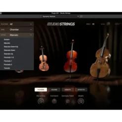 AIR Music Technology Studio Strings