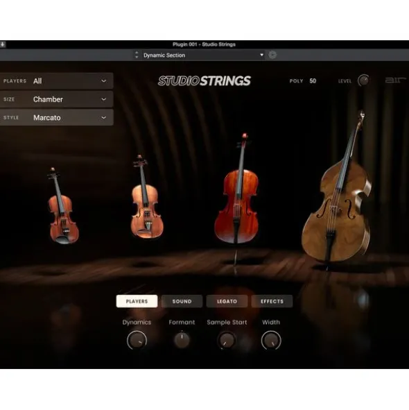 AIR Music Technology Studio Strings