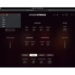 AIR Music Technology Studio Strings