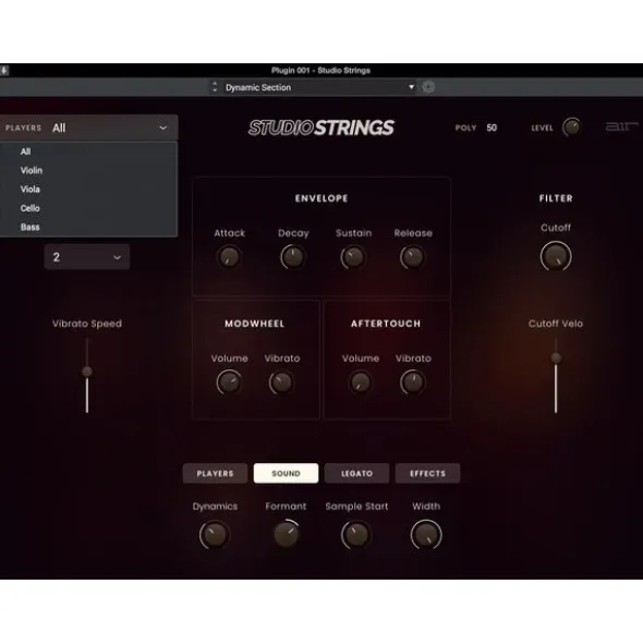 AIR Music Technology Studio Strings