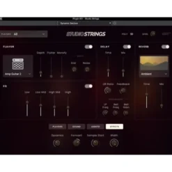 AIR Music Technology Studio Strings