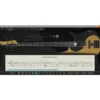Ample Sound Ample Bass Yinyang v4