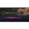 Ample Sound Ample Guitar L