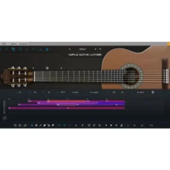 Ample Sound Ample Guitar L