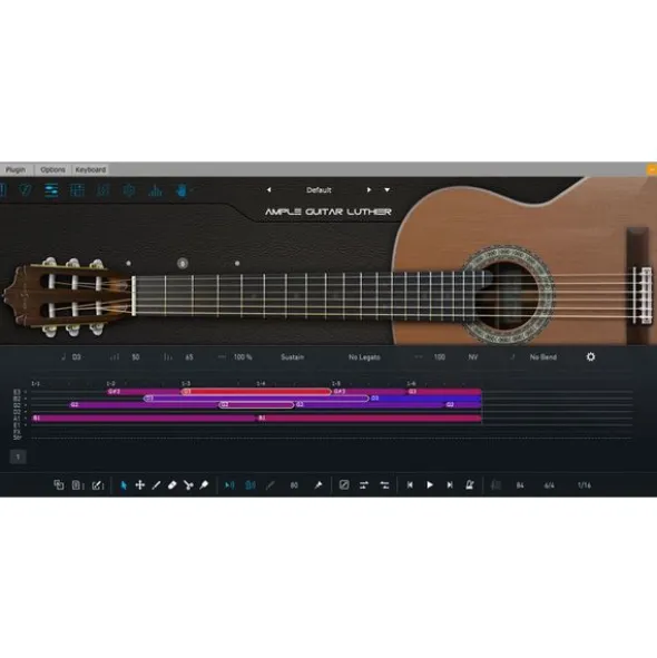 Ample Sound Ample Guitar L