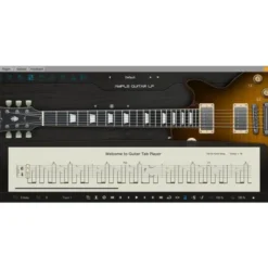 Ample Sound Ample Guitar LP