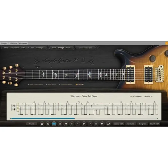 Ample Sound Ample Guitar PF