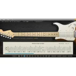 Ample Sound Ample Guitar SC