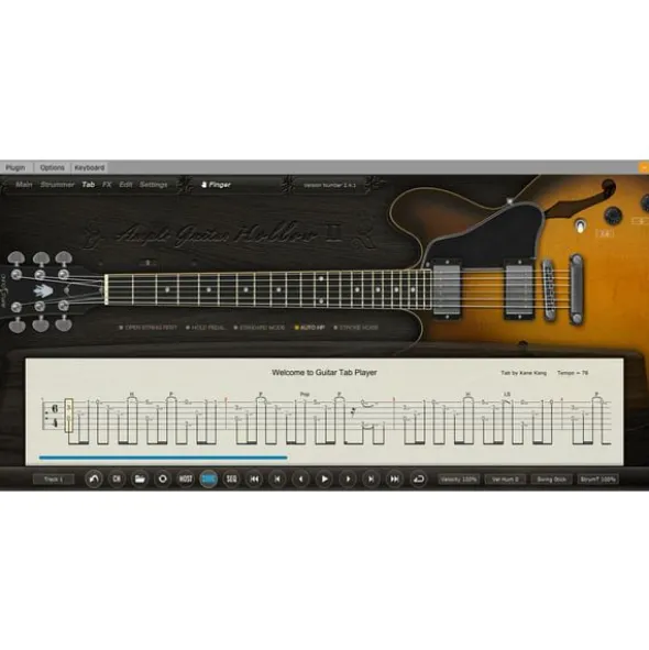 Ample Sound Ample Guitar Semi Hollow