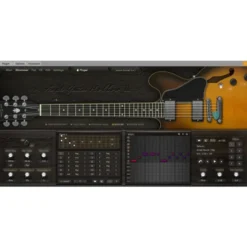Ample Sound Ample Guitar Semi Hollow