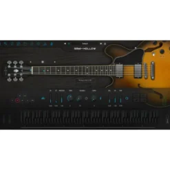 Ample Sound Ample Guitar Semi Hollow