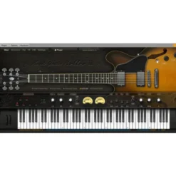 Ample Sound Ample Guitar Semi Hollow