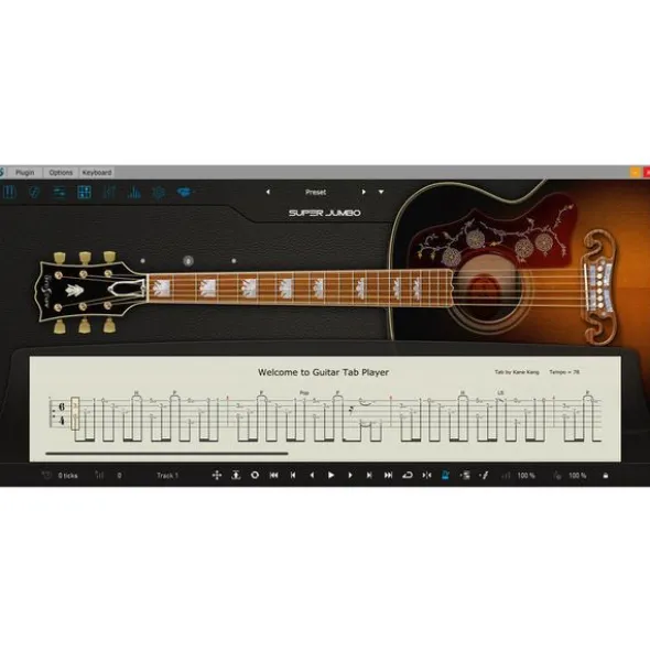 Ample Sound Ample Guitar SJ