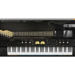Ample Sound Ample Guitar TC
