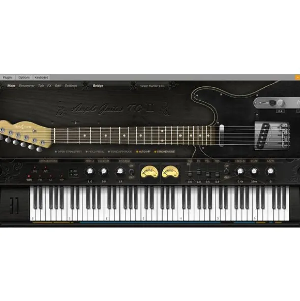 Ample Sound Ample Guitar TC