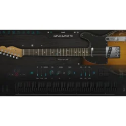 Ample Sound Ample Guitar TC