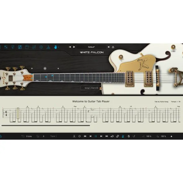 Ample Sound Ample Guitar WF