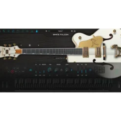 Ample Sound Ample Guitar WF