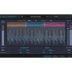 Arturia Bus Transient