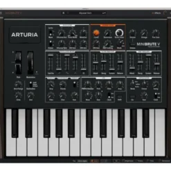 Arturia MiniBrute V