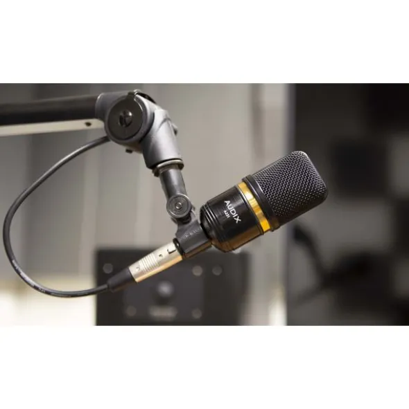 Audix A231