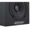 Auratone 5C Super Sound Amp Set Black