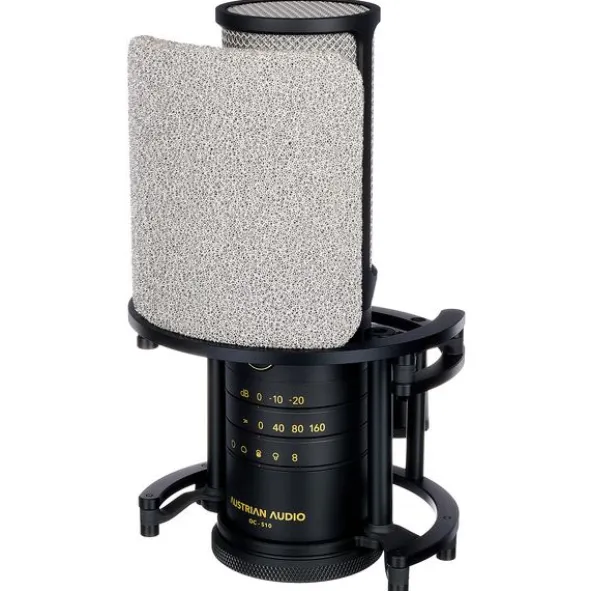 Austrian Audio OC-S10 Studio Set
