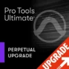Avid Pro Tools Ultimate Perpet. UPG
