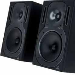 Behringer B2031A Truth