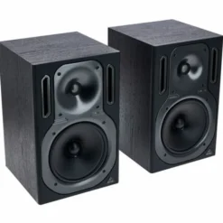 Behringer B2031A Truth
