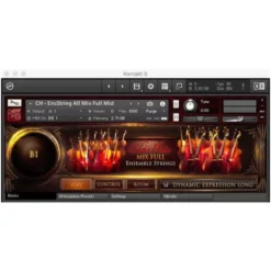 Best Service Chris Hein Ensemble Strings CG
