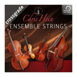Best Service Chris Hein Ensemble Strings CG