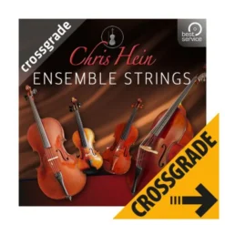 Best Service Chris Hein Ensemble Strings CG