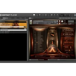 Best Service Emotional Cello