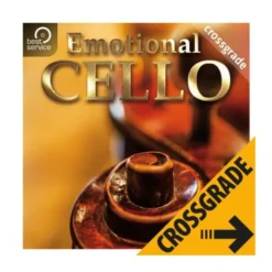 Best Service Emotional Cello Crossgrade