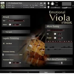 Best Service Emotional Viola