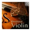 Best Service Emotional Violin