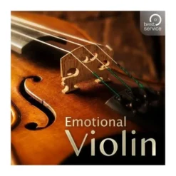 Best Service Emotional Violin