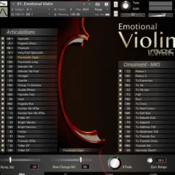 Best Service Emotional Violin