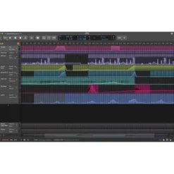 Bitwig Studio Producer