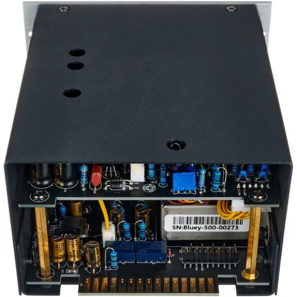 Black Lion Audio Bluey-500